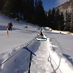 арніка