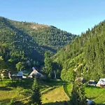 арніка 3*