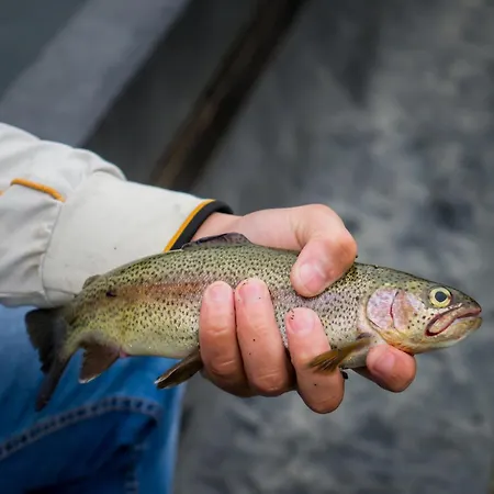 арніка Hotel Synevyrsʼka Polyana