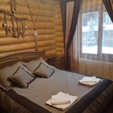 арніка Synevyrsʼka Polyana