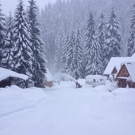 Hotel арніка 3*