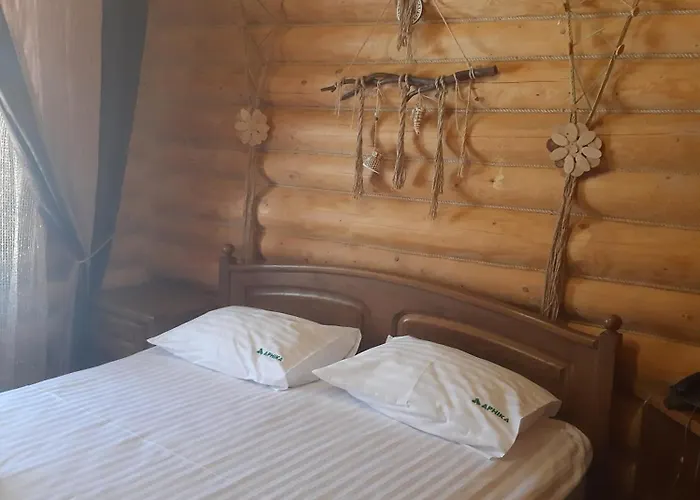 酒店 арніка 3*