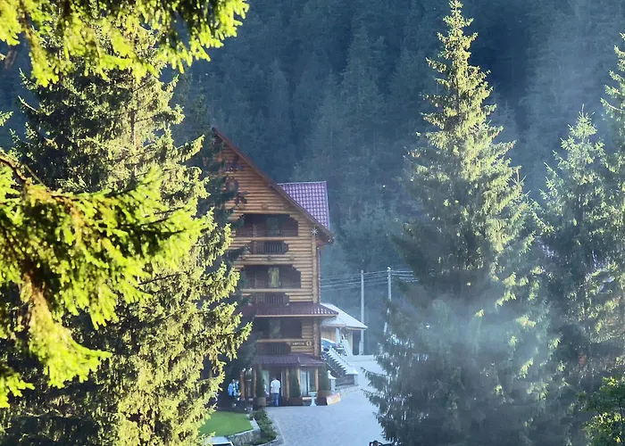 арніка Hotel