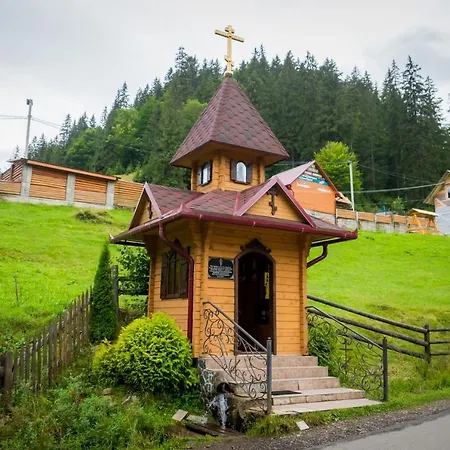 арніка 3*